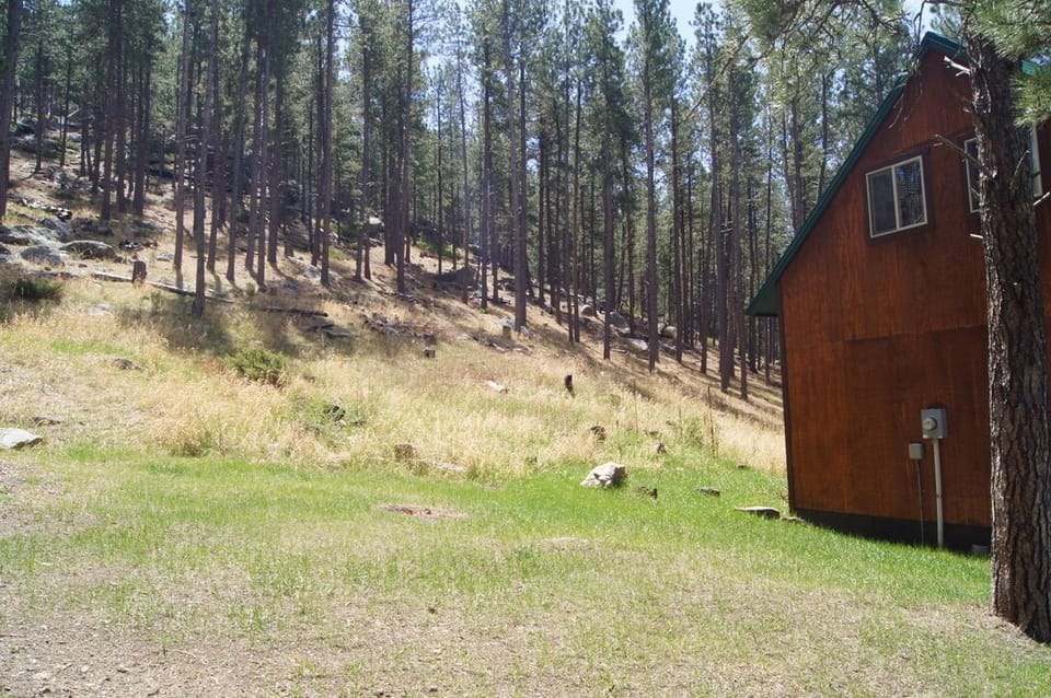 704A8DA3 B13E 4D36 B9EE F420A19C9A1E 1 105 c