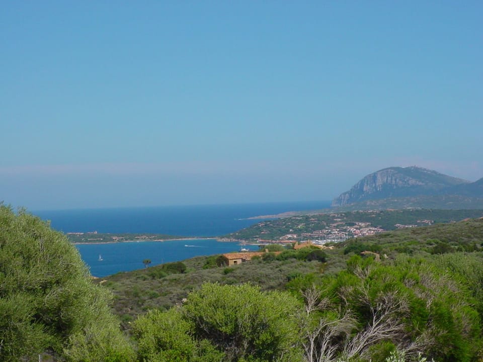 View from the veranda