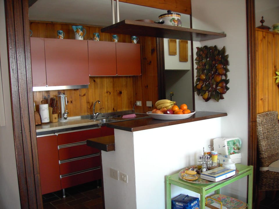 The open kitchen 