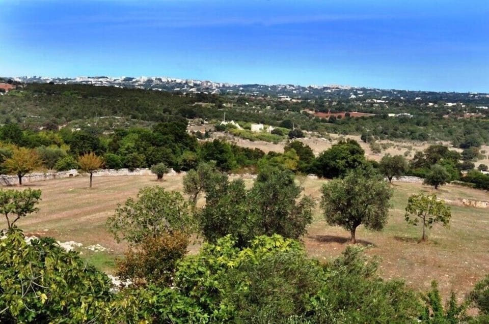 The stunning Puglian countryside