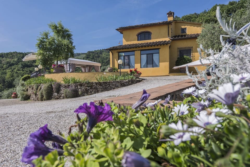 Property, House, Flower, Real Estate, Plant, Home, Spring, Cottage, Villa, Building