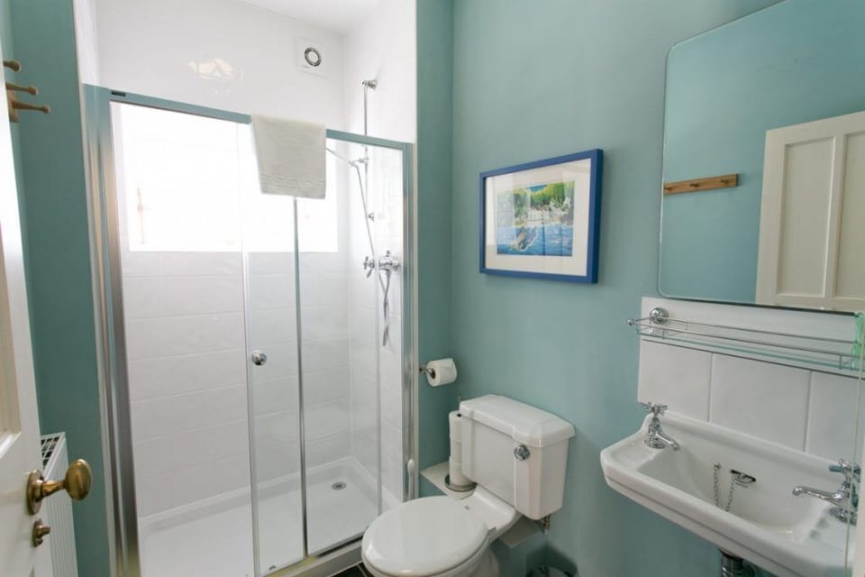 Downstairs shower room