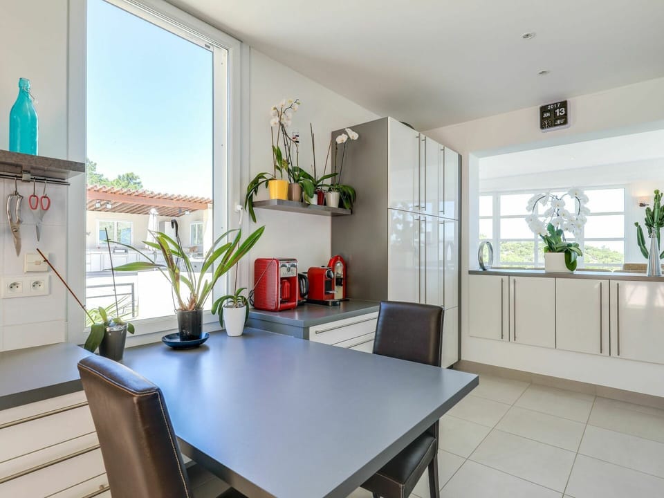 Plant, Property, Cabinetry, Table, Furniture, Countertop, Green, Window, Blue, Houseplant