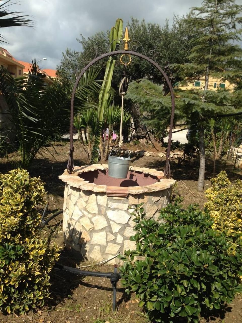 the wishing well