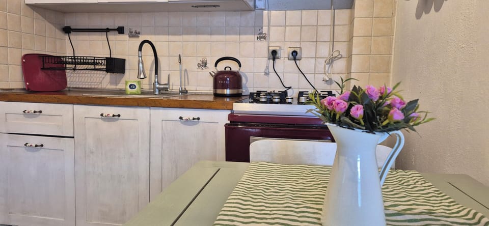 Design Duplex, Multiple Beds, Sea View | Private kitchen | Full-size fridge, oven, stovetop, dishwasher