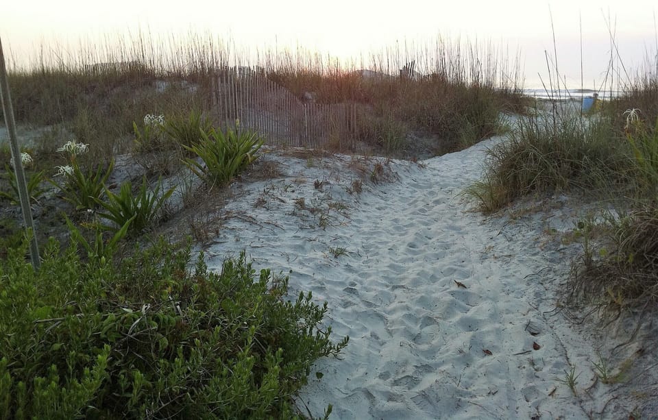 beach walkover