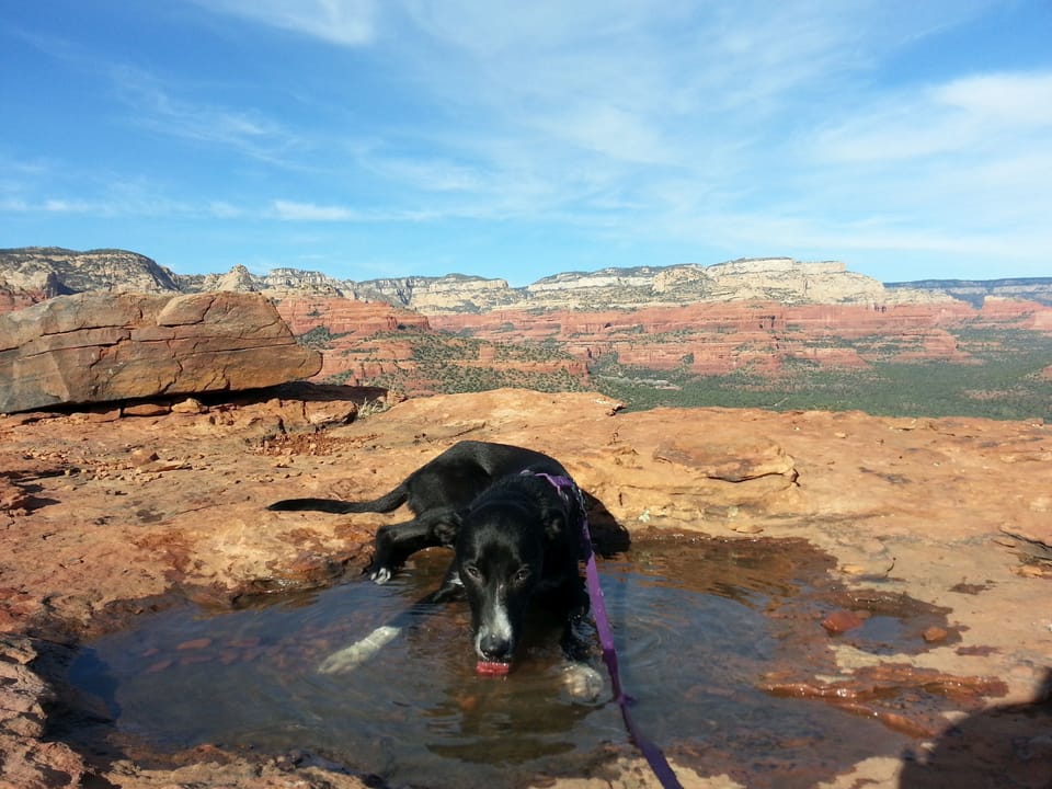 Pet friendly Sedona