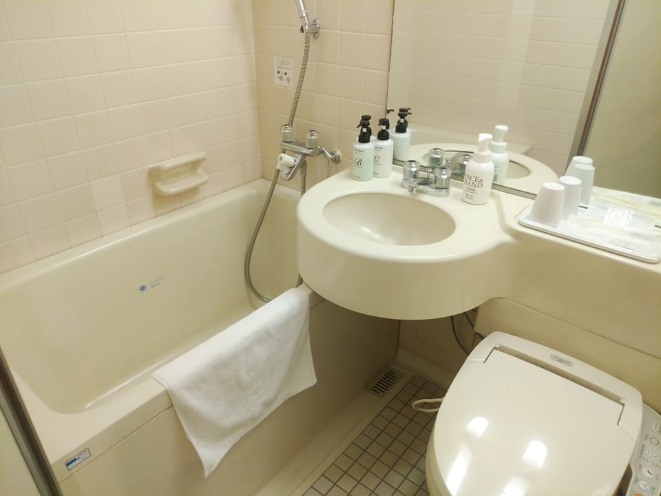 Combined shower/tub, free toiletries, hair dryer, slippers