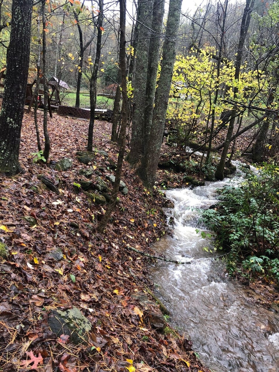 Creekside Fun!