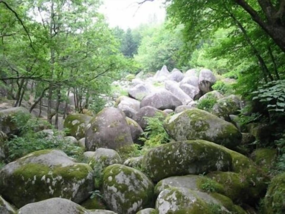 Chaos de la Balme Sidobre park (river of rocks)