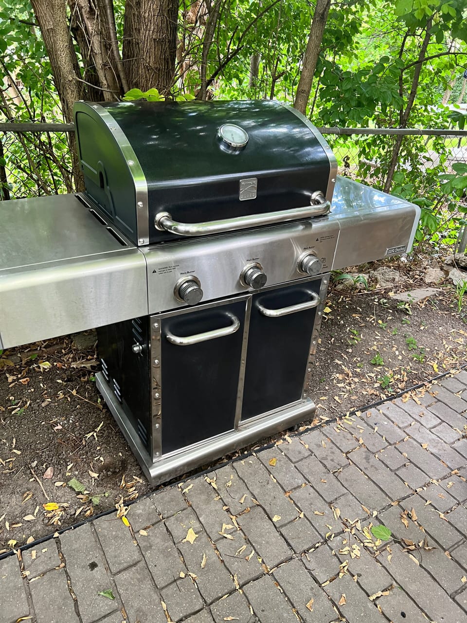 Large stainless steel grill with propane tank 