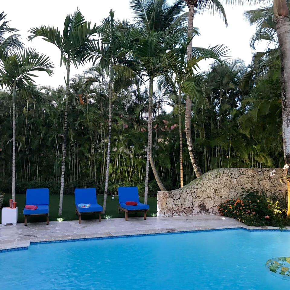 Large 25,000 gallon pool, comfortable  pool lounge chairs and wet bar area