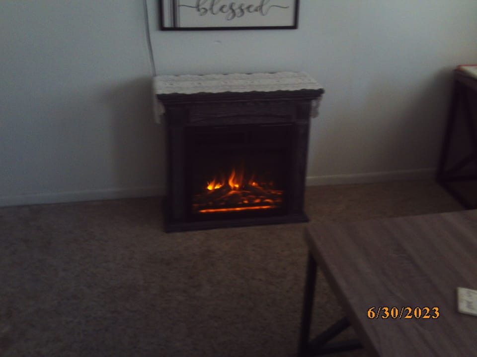 Electric Fireplace