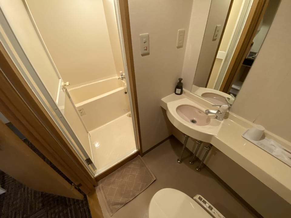 Combined shower/tub, free toiletries, hair dryer, slippers