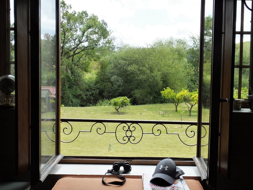 janela com vista para o jardim 