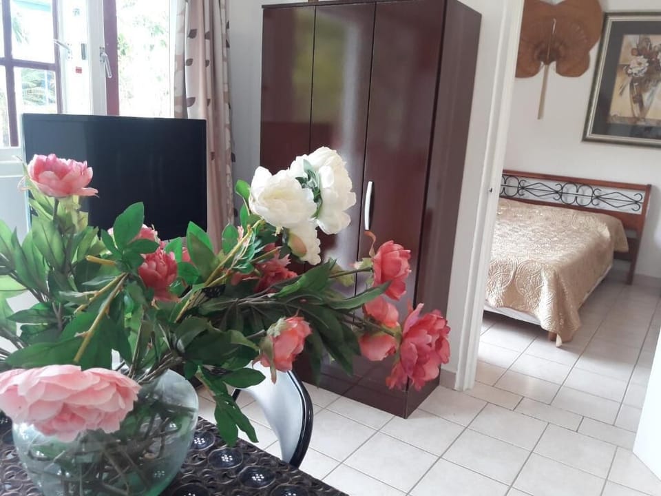 Palmita Hotel Hostel Hostel in Oranjestad
