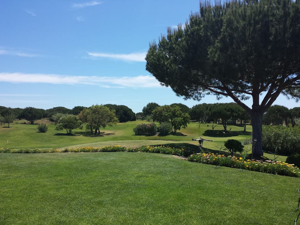 View of the tee from the clubhouse terrace, fine location for relaxed eating.