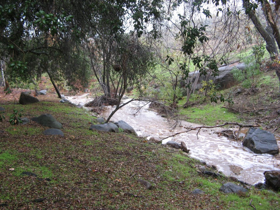 Seasonal creek, No lifeguard on duty