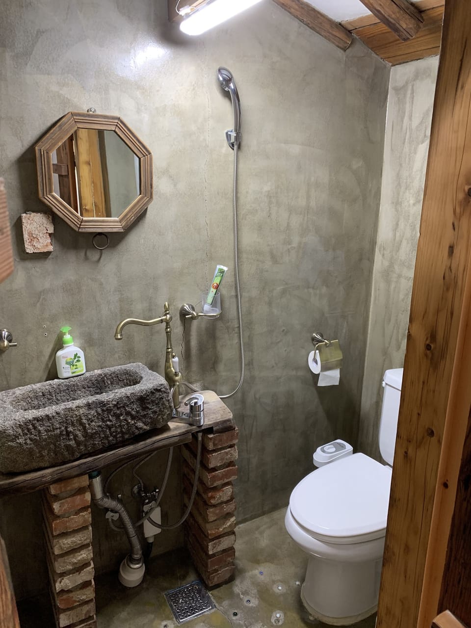 Shower, free toiletries, hair dryer, slippers