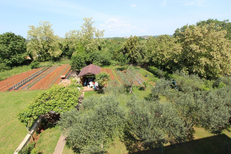 Twin Room, Balcony | Garden view