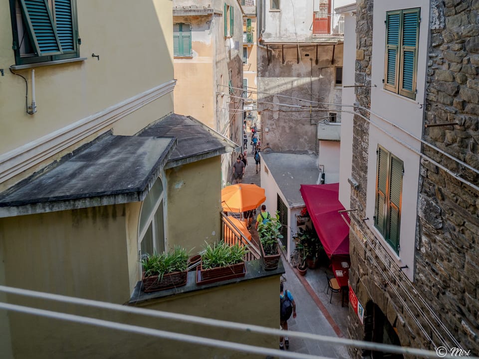 View from room