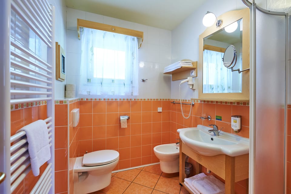 Shower, hair dryer, bathrobes, slippers