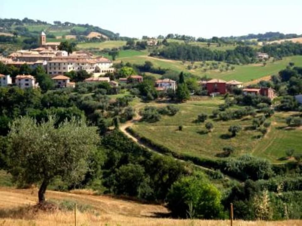 Overview