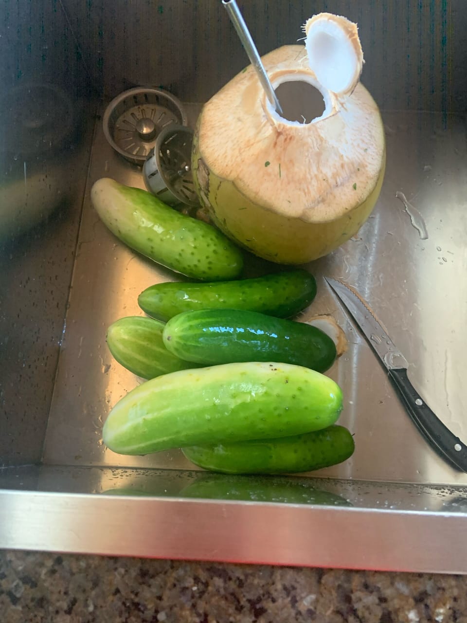 Fresh veggies from our gardens