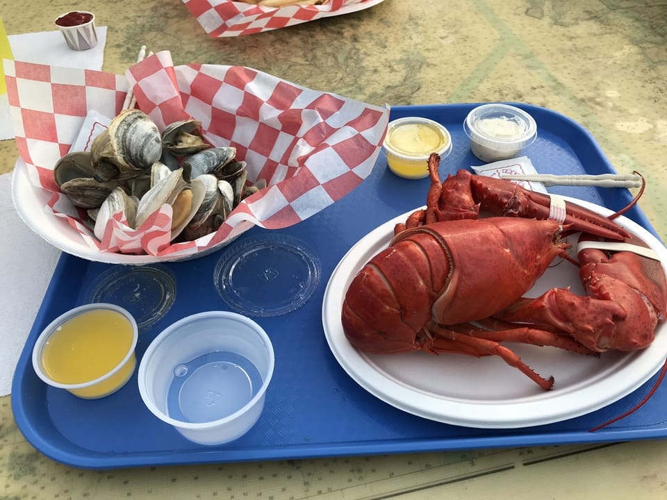 Beal’s lobster In Swh 
