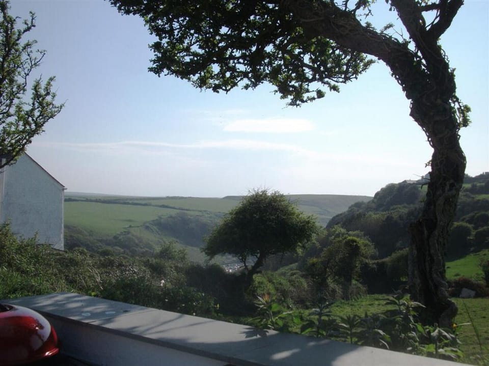 View from barbecue area