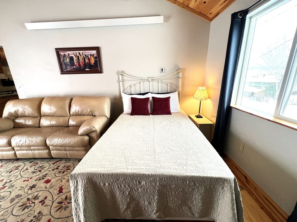 Full size bed in living room