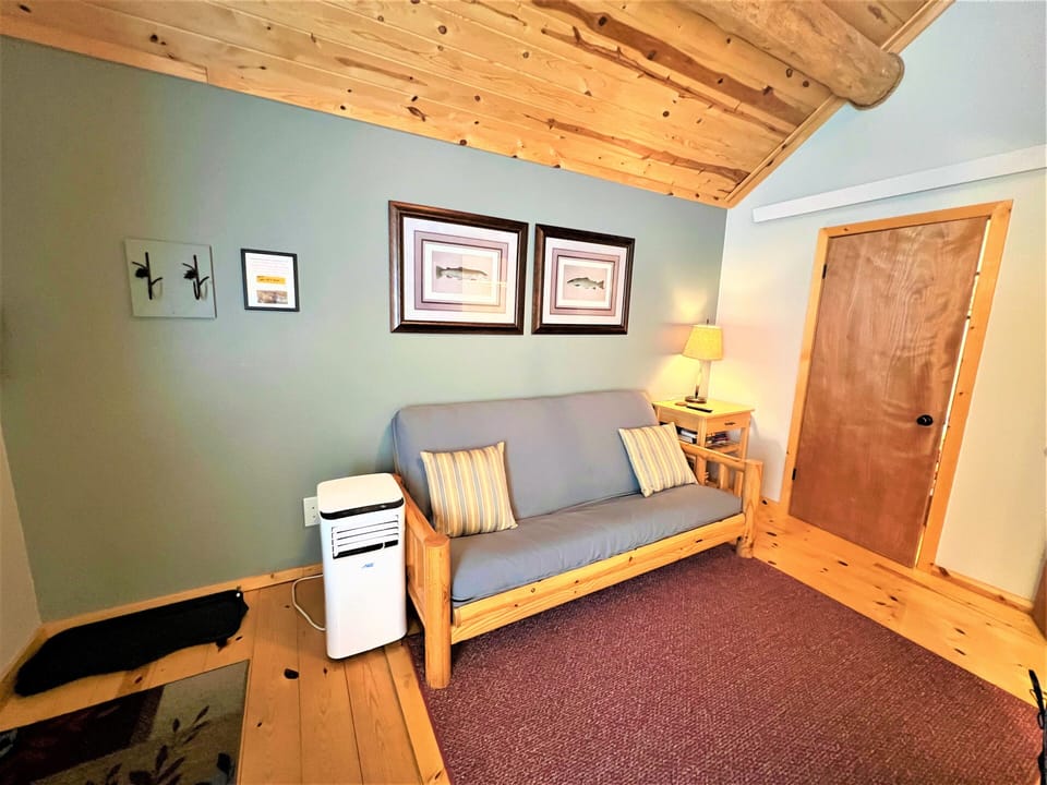 Full sized futon in living room with AC unit