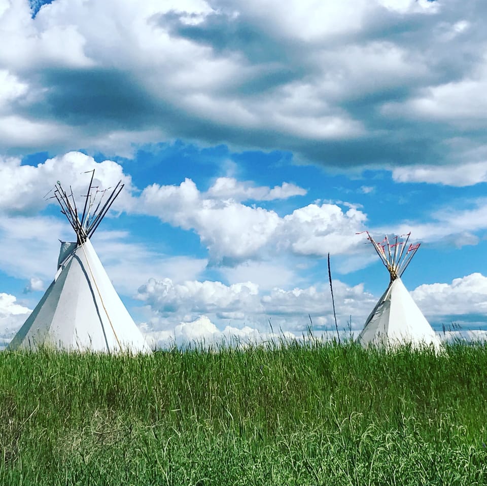 New 20' Tipi's