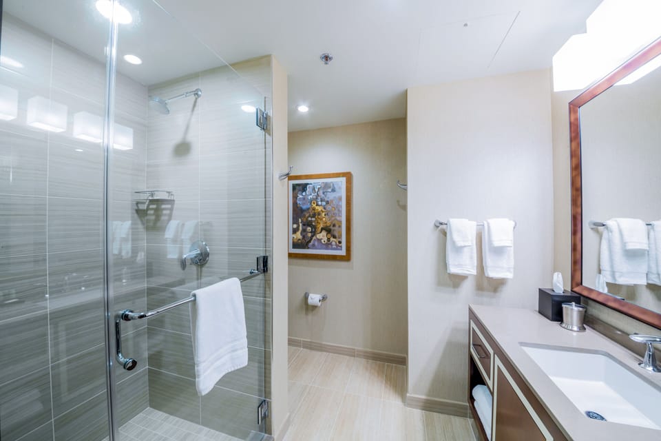 Shower, free toiletries, hair dryer, towels