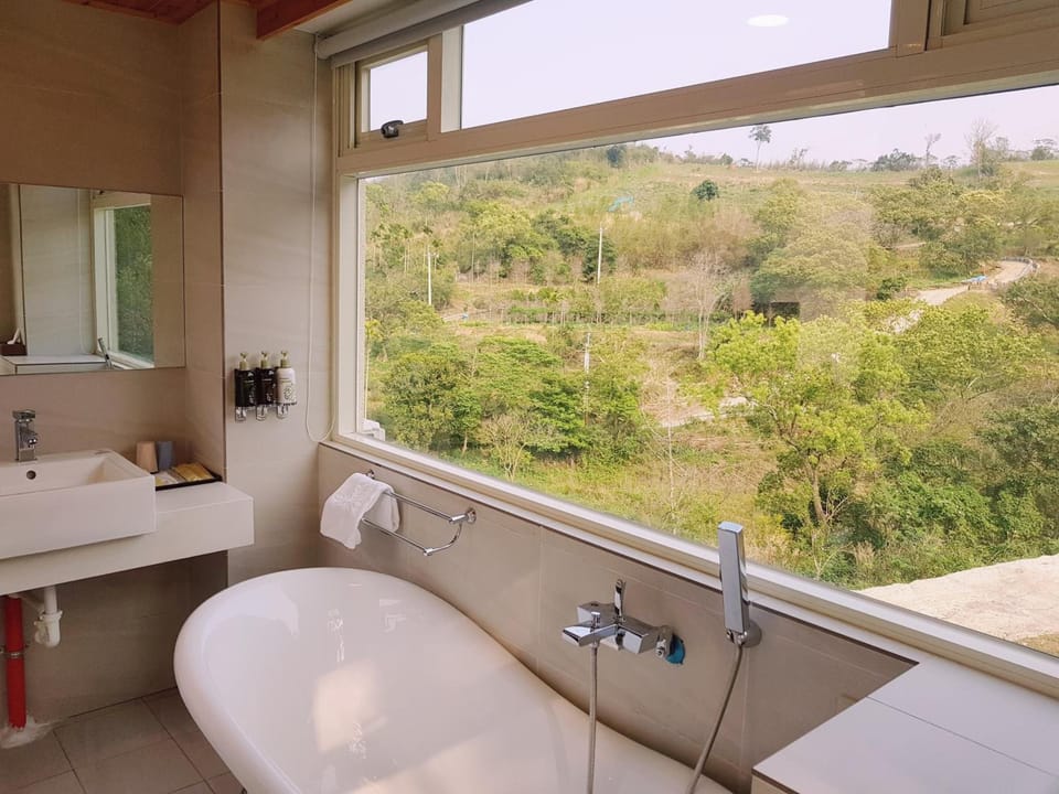 Shower, free toiletries, hair dryer, slippers