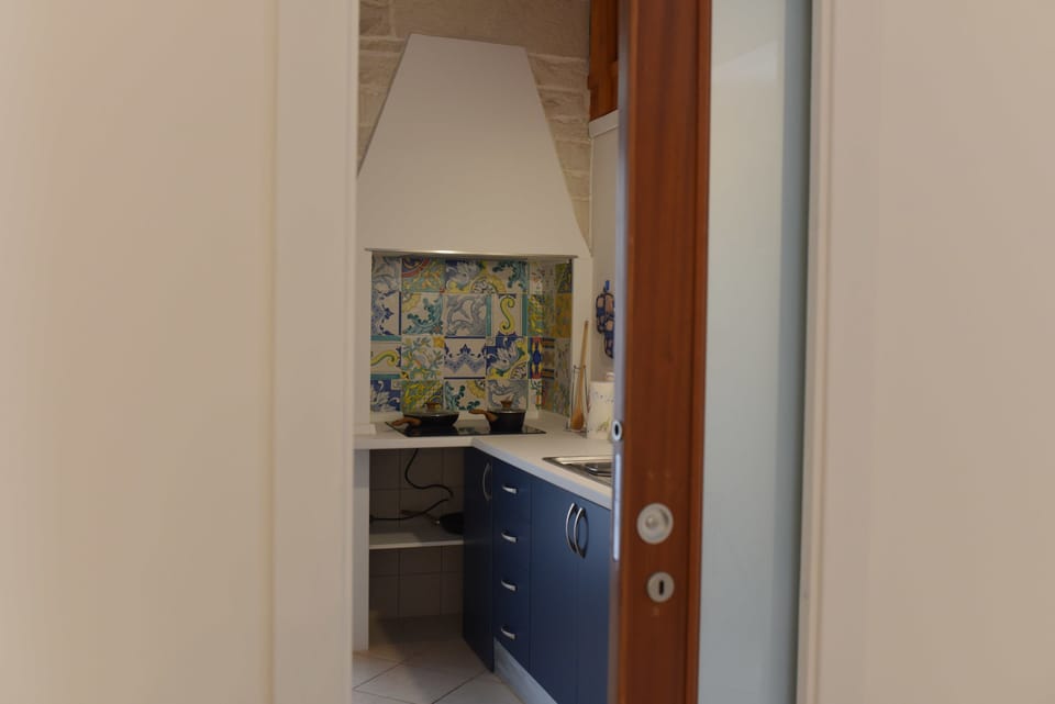 Apartment, 1 Bedroom | Private kitchenette | Fridge, stovetop, coffee/tea maker, electric kettle