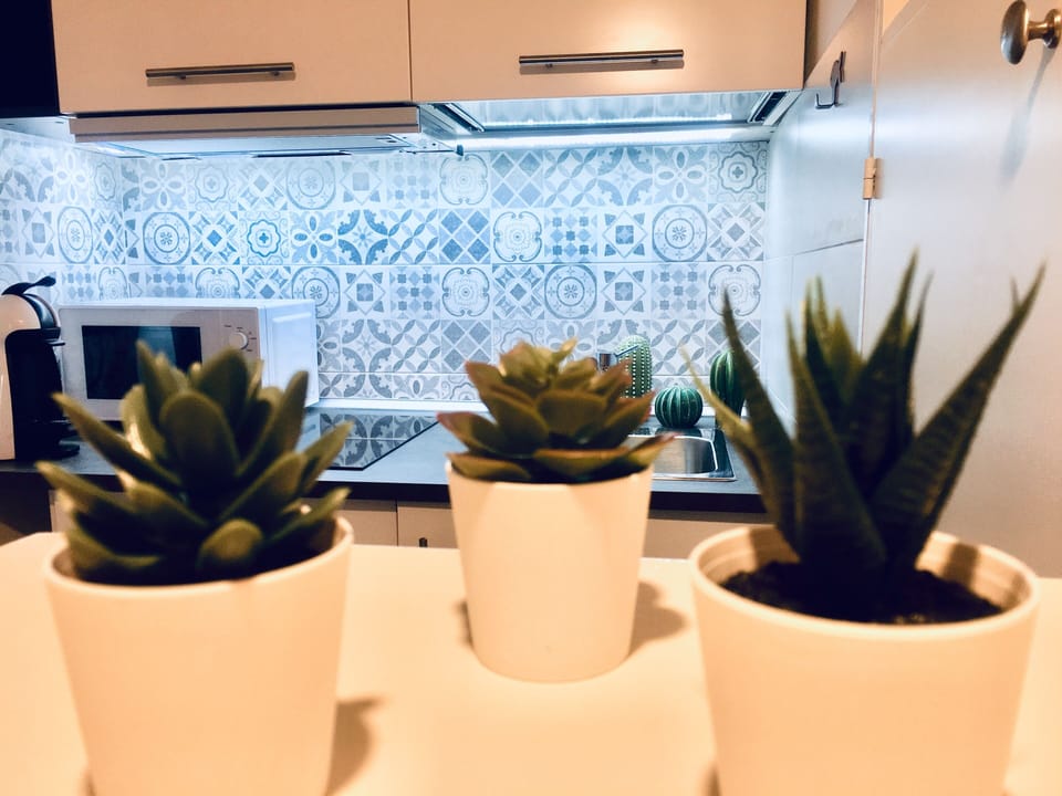 Full-size fridge, microwave, stovetop, espresso maker