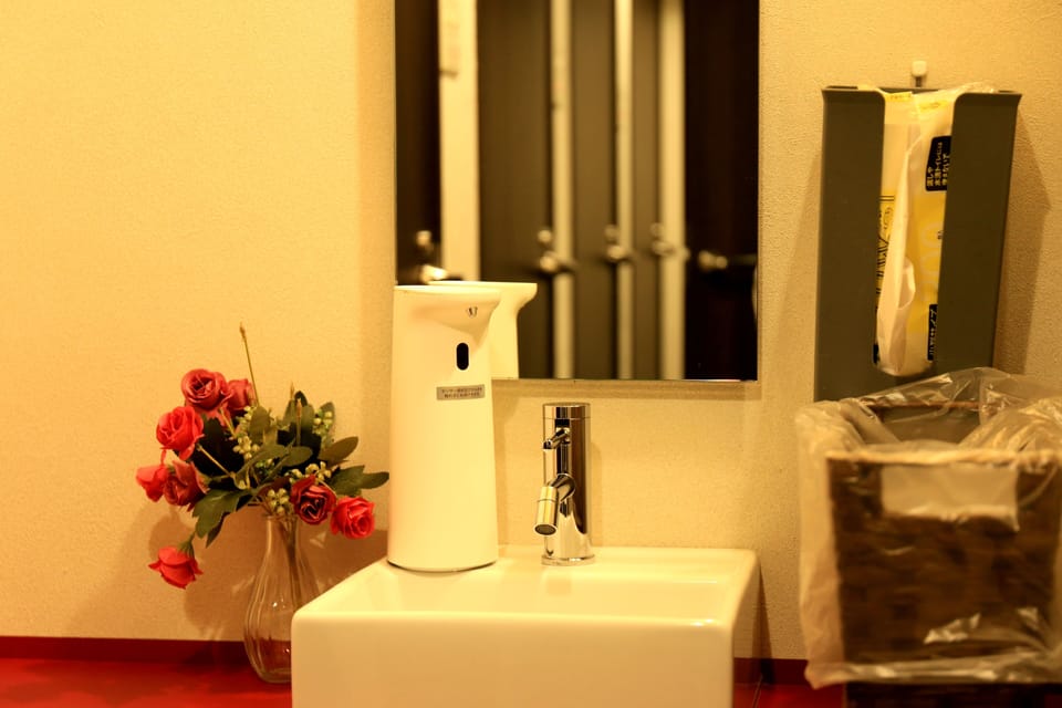 Shower, hair dryer, slippers, bidet