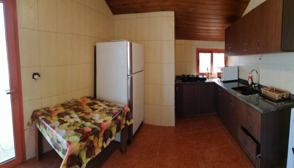 Apartment, 3 Bedrooms, Sea View | Private kitchen