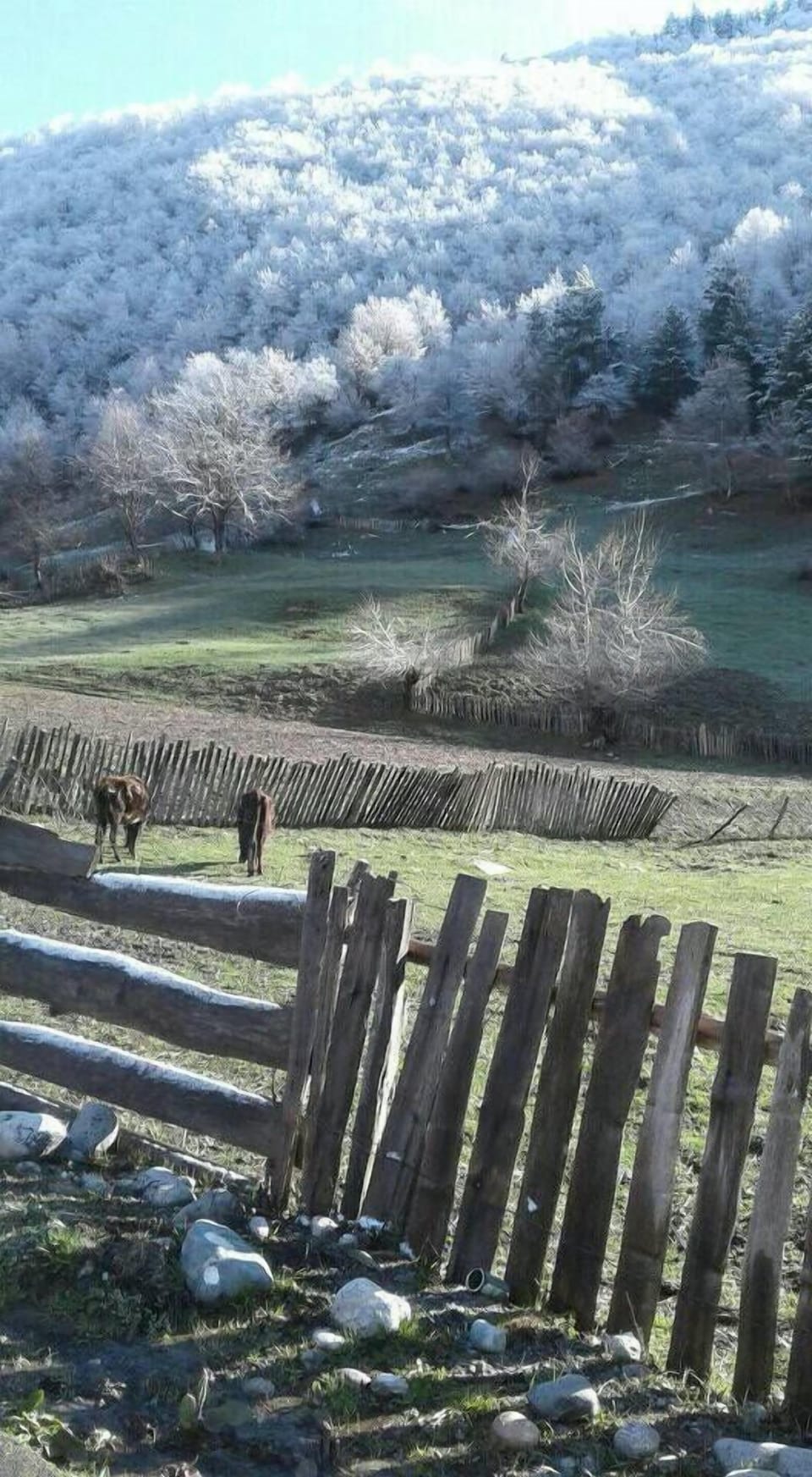 Land view from property
