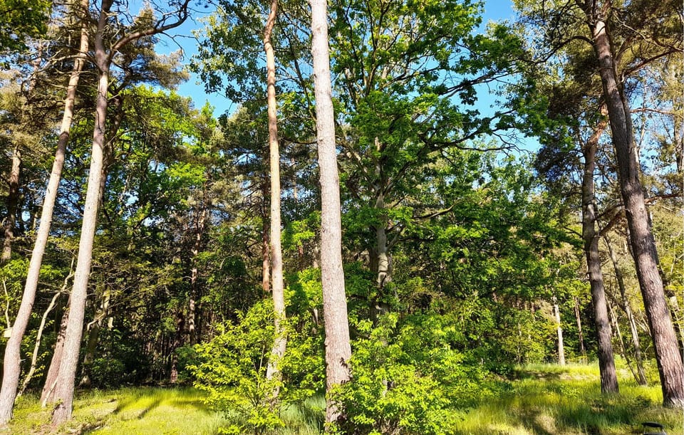 outside