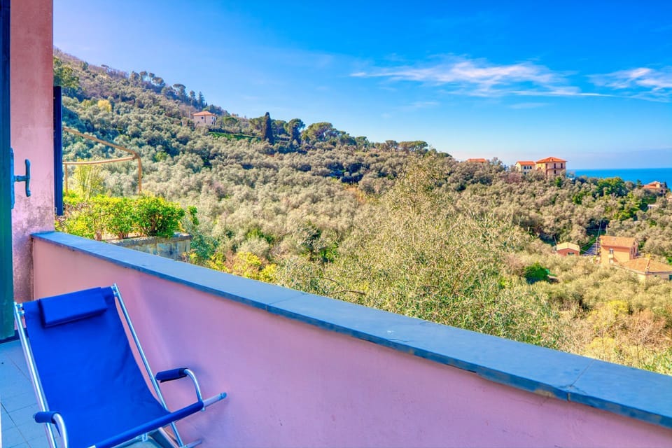 Balcony / Terrace / Patio, Scenic View