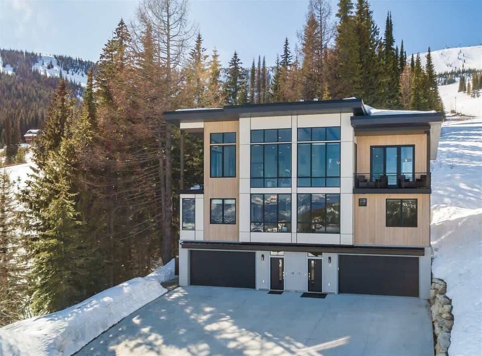 Ultra modern alpine facade