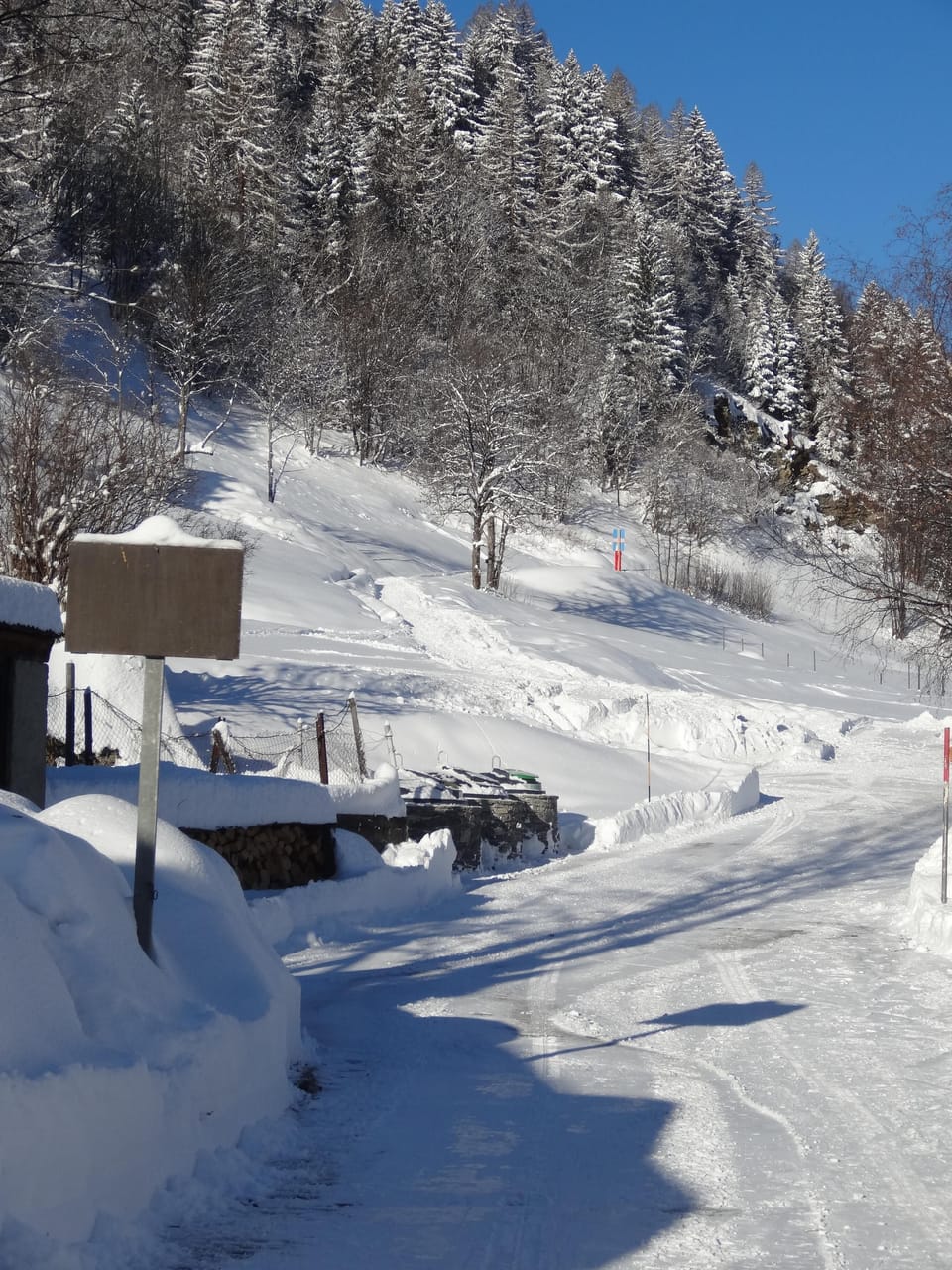Snow and ski sports