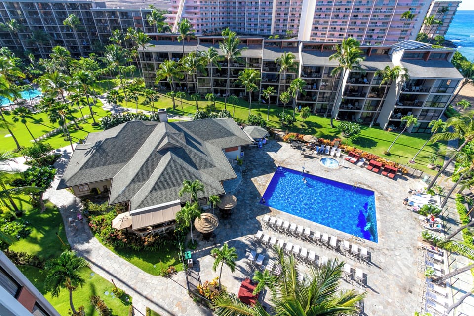 Oceanfront resort with lush tropical gardens, sparkling pool, and sweeping views of palm-lined grounds just steps from the Pacific shore.