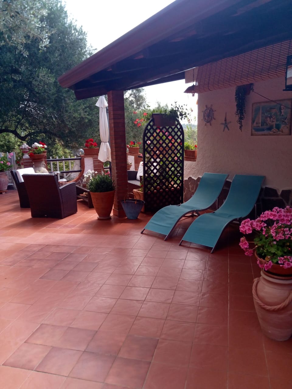 Terrace/patio