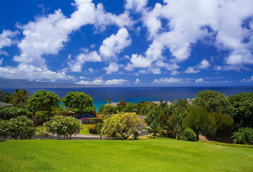 The ocean is less than a quick 5 minute walk from your villa