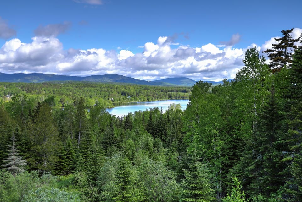 Haley Pond