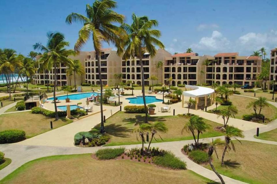 Pool View from Terrace
