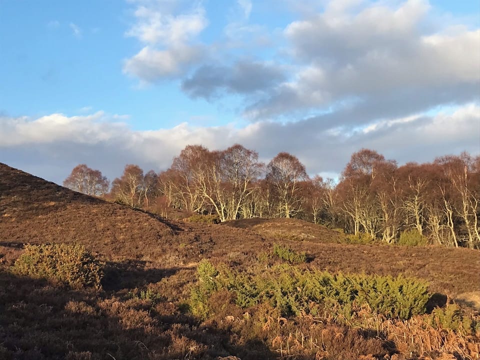 Hill behind property